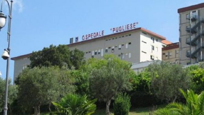 pugliese