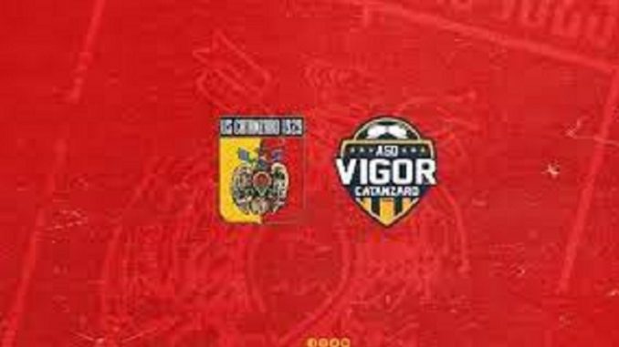 us-vigor