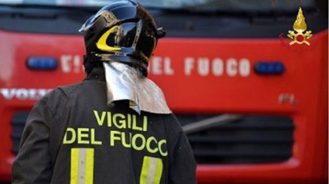 vigili