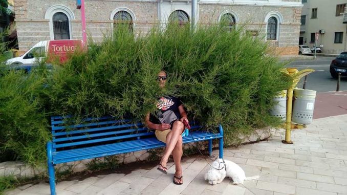 panchina_vegetazione