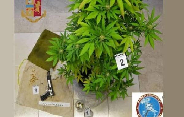 droga_arma